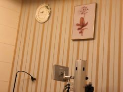 包房-张玉珊修身堂