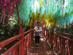 -神农山景区