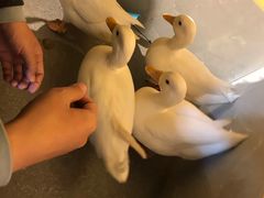 -昆明大悦城未来动物城(螺蛳湾中心店)