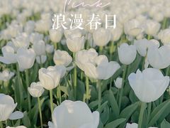 -大宁公园