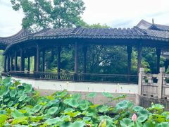 -尚湖风景区