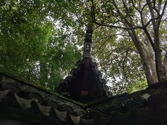 -秋霞圃