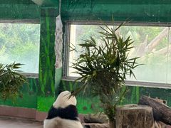 -广州动物园