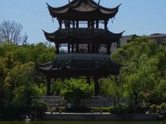 -长虫山生态公园风景林