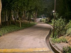 -南岗山公园