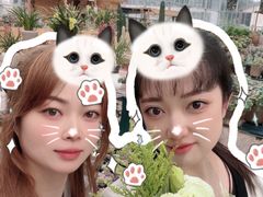 -三圣花乡旅游区