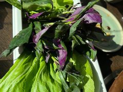 -滇釜火锅·能喝汤的火锅(车公庄店)