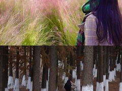 -艾溪湖湿地公园