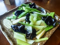 -南平静修小镇水芳阁餐厅