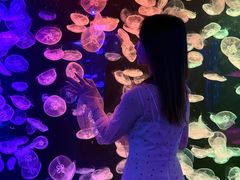 -顺德南宏海立方海洋公园