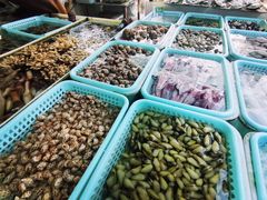 -南沙十九涌渔人码头-南门