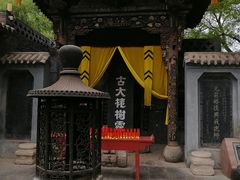 -大槐树寻根祭祖园