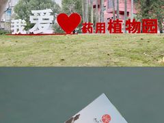 -广西壮族自治区药用植物园