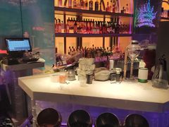 -Darling Queen·Mini·Live·House