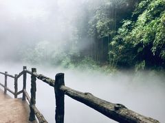 -川西竹海景区