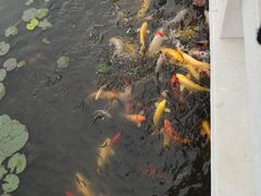 -呼兰河口湿地公园