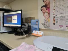 -瑞派康怡24h宠物医院·犬猫医疗中心·微创绝育(瑞景分院)