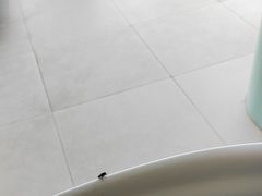 -怪兽屋·羊驼·猫咖·狗咖(俊华广场店)