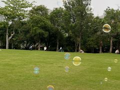 -南宁市凤岭儿童公园