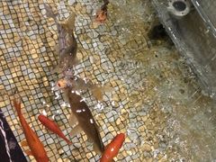 -电谷雅阁国际大酒店