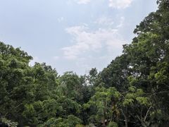 -野象谷景区
