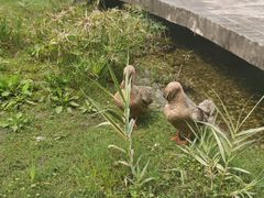 -广州神农草堂中医药博物馆