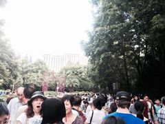 -人民公园-相亲角