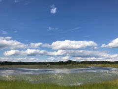 -塞罕坝国家级自然保护区