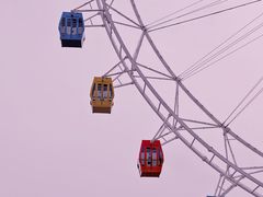 -上海野生动物园