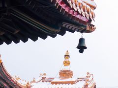 -雍和宫