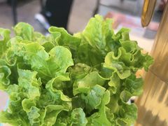 -揽月斋炙子烤肉·清真(安定门·五道营店)