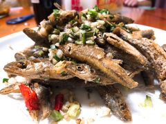 -全乐鱼馆·淳牌有机鱼直营店