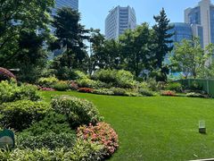 -静安公园(静安寺街道)