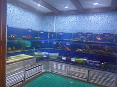-青岛海景花园大酒店·白果树餐厅青岛菜
