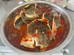 -风鑫铃罗非鱼(道沟店)