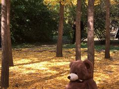 -万泉公园
