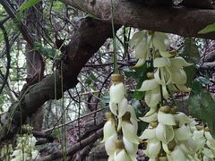 -火炉山森林公园