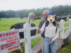-瑞穗牧场