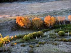 -塞罕坝国家级自然保护区