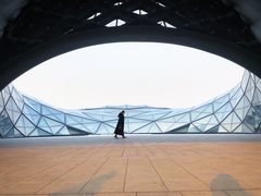 -哈尔滨大剧院
