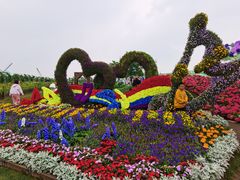 -荷兰花海