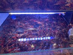 -虾铺子龙虾·私房菜(金源花苑店)