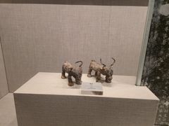 -温州博物馆