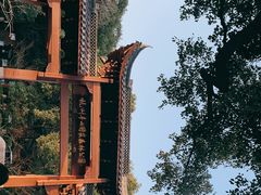 -杭州半山国家森林公园