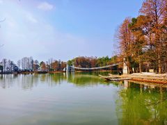 -东湖落雁景区
