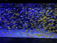 -成都浩海立方海洋公园