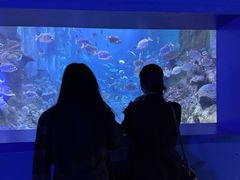 -左海海底世界