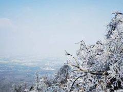 -紫金山山顶公园