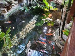 -聚缘堂·海鲜私房菜(松岭路店)
