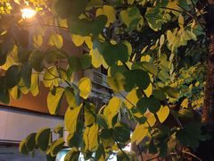 -小半有礼(天河南店)